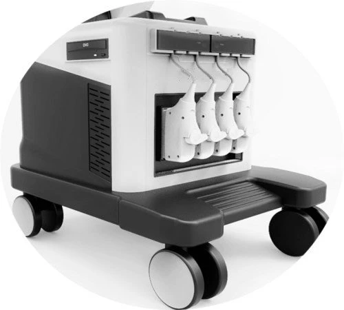 Medical Imaging 4D Doppler Ultrasound